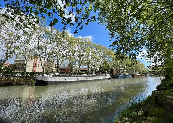 Sunset Duplex - Grand-rond, Jardin Des Plantes, Centre-ville, 2 Bdrs 60m2, Ac, Netflix - T3 60m2 Avec Clim Διαμέρισμα Τουλούζη